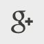 Google+ plus icon