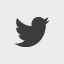 Twitter white icon